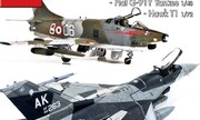 (Sky Model 110)