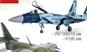 (Sky Model 111)