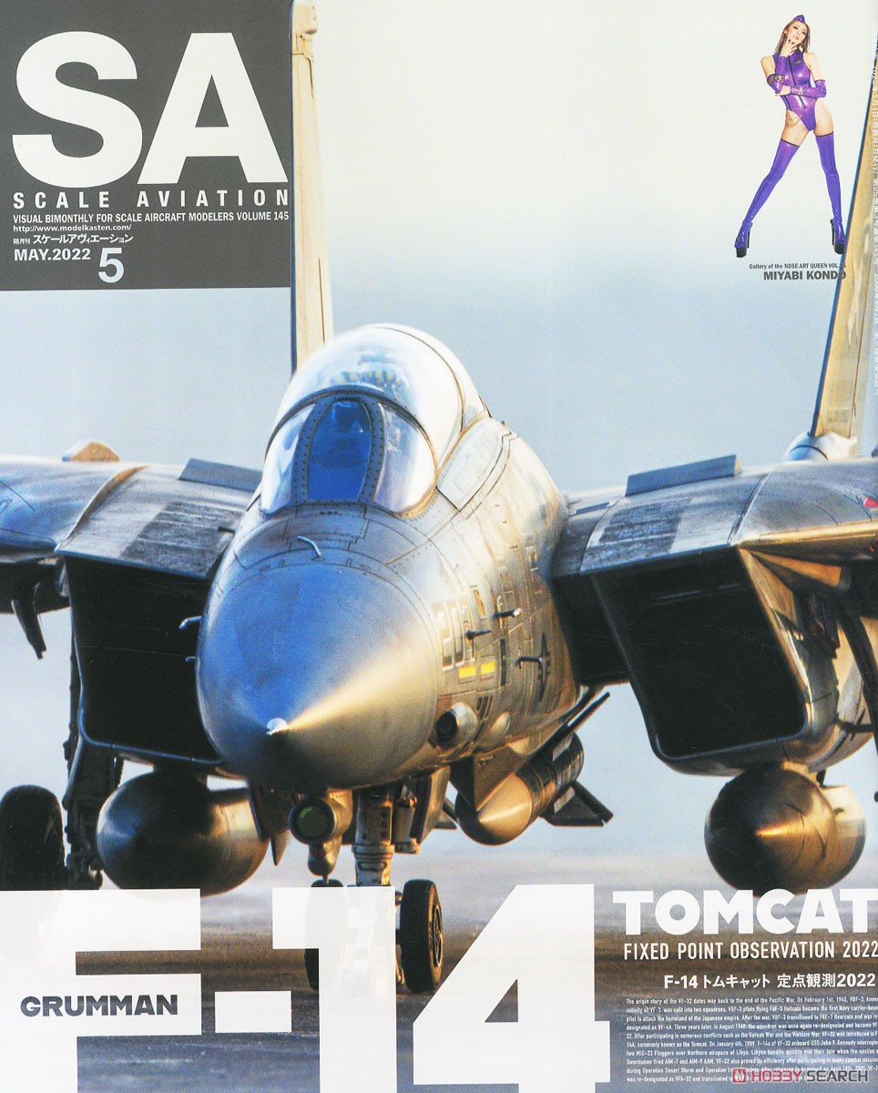 Scale Aviation