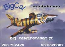 BigCat Modelismo