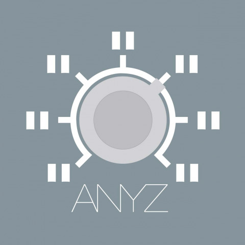 ANYZ