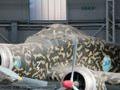 Savoia-Marchetti SM.79-III Sparviero