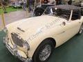 Austin Healey 3000