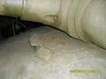 Object 279