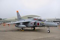 Kawasaki T-4 Walkaround