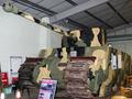 TOG2