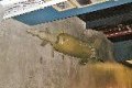 GBU-11 Paveway I Laser Guided Bomb
