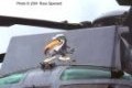 Sikorsky CH-124A Sea King