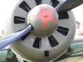 Polikarpov I-16 Type 24