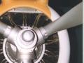Curtiss P-36A Hawk
