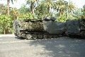 LVTP-7