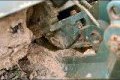 T-62 Mine Plough
