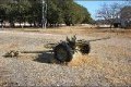 M3 37mm Anti-tank Gun