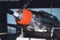 Northrop A-17A