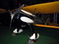 Curtiss P-6E Hawk