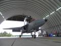 Alenia M-346 'Bielik'